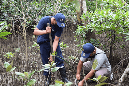 Mangrove Planting by our employees